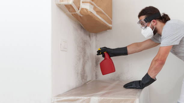 Professional Basement Mold Remediation technician working in Washington, NJ